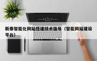 漳浦新泰智能化网站搭建技术指导（智能网站建设平台）